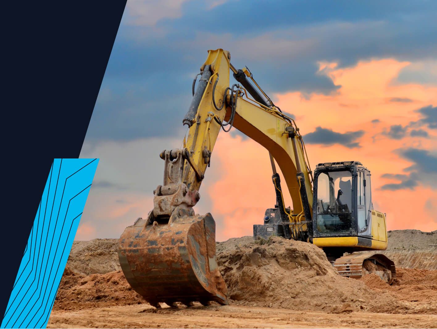 Yellow Plants Banner.jpg